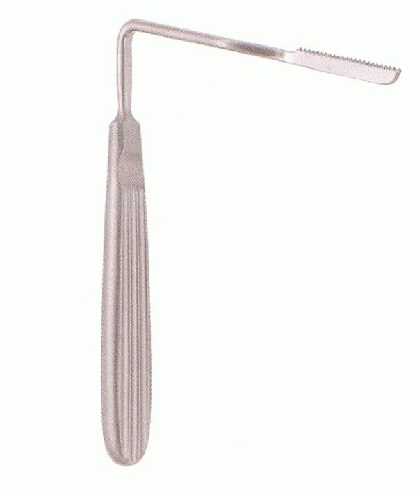 01 Joseph Nasal Saw Angled To Left - Image 1